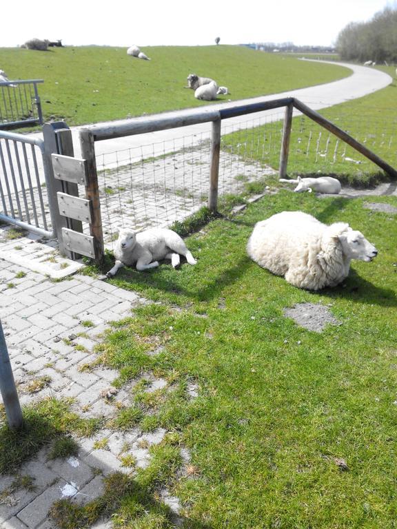 Auf Dem Alten Deich * Sande